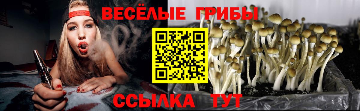 Галлюциногенные грибы мицелий Энгельс